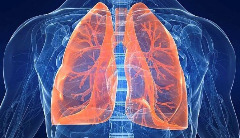 Akciğerlerdeki Kanserojen Hücreler Yeni Bir Teknolojiyle Değiştirilebilecek