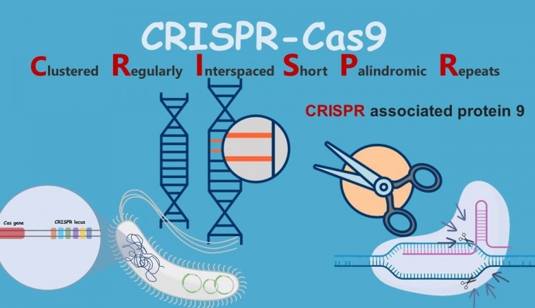 CRISPR-Cas9 Panzehirin Keşfinde Kullanıldı