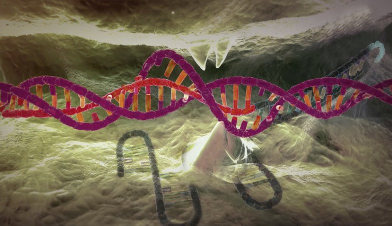 CRISPR Teknolojisine Yeni Rakip Retronlar