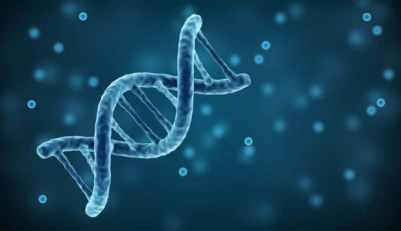 İnsan DNA’sı Dünyanın Her Yerinde