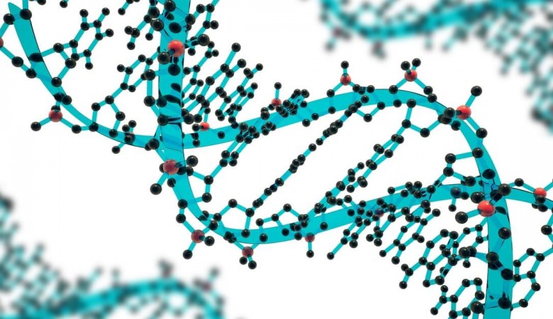 Genom Düzenleme Teknolojisi Başarılı Oldu