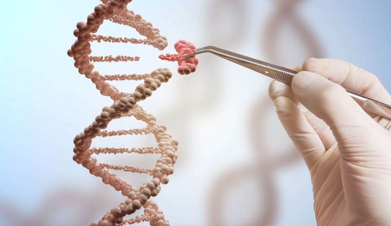 İnsan ve Klinik Genetik Derneği Genetik Tanı ile Değerlendirme Merkezi İçin Yasa Talep Ediyor