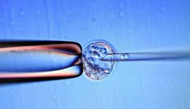 Bilim insanları laboratuvarda insan embriyosu yaptı