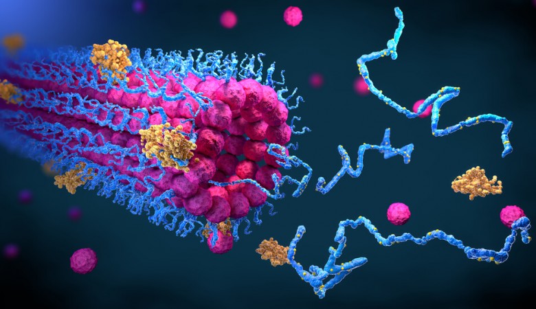 Nanoteknolojinin Tıp Alanında Çığır Açan Yenilikleri