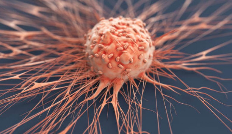 Tümör Hücrelerini Yok Edici Etkisi Kanıtlandı